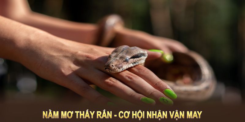 Đánh số gì để mang đến cơ hội nhận vận may